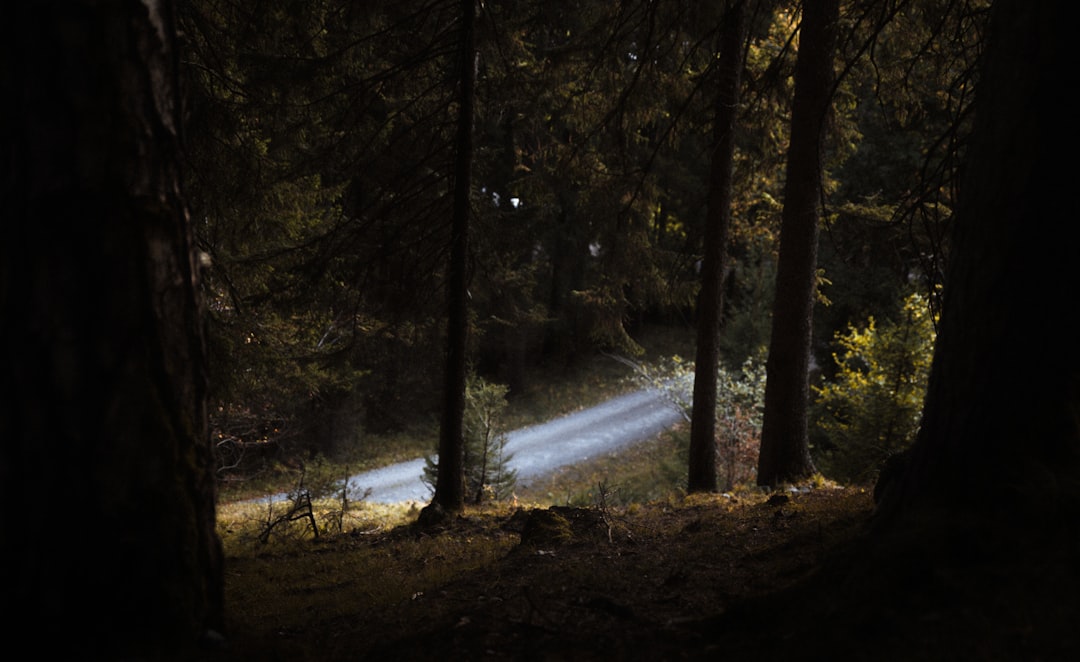 Natural landscape photo spot Wiesing Tyrol