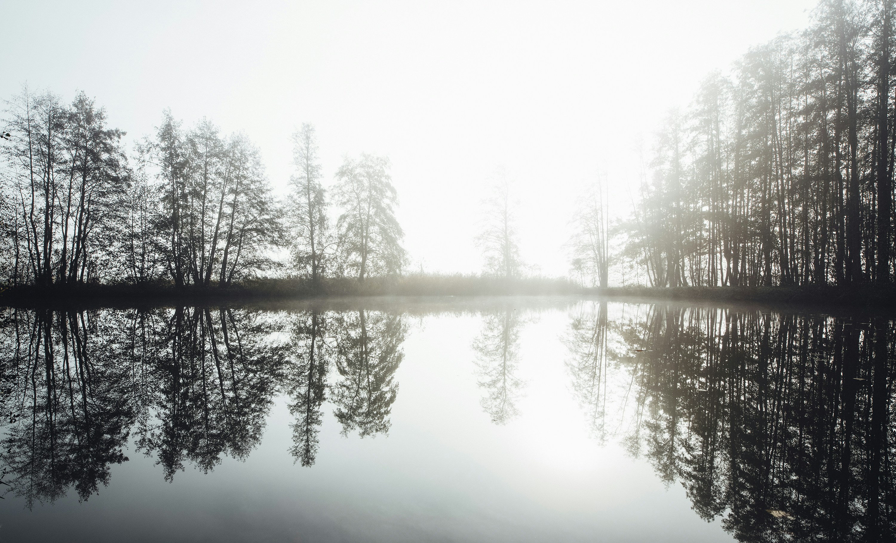 Photo by markusspiske