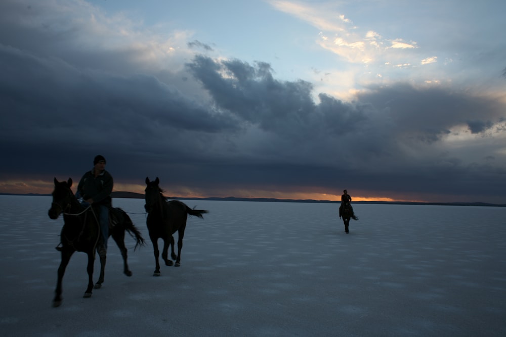 Fotografía de hombre montando a caballo