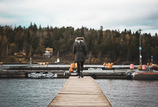 person walking on brown wooden boardwalk in Bredäng Sweden