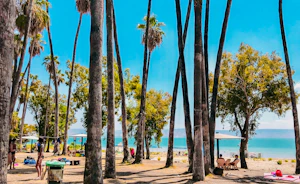 A vibrant beach resort with palm trees and clear blue water under a sunny sky.
