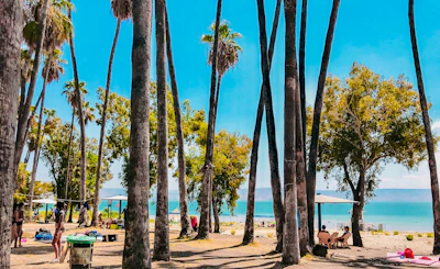 A vibrant beach resort with palm trees and clear blue water under a sunny sky.