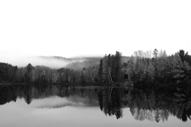 A serene landscape featuring a still body of water reflecting a dense forest of trees. Mist subtly blankets the distant hills, creating a quiet, peaceful atmosphere. The contrast between the dark trees and the light sky enhances the sense of calm.