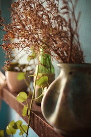 A rustic shelf adorned with various potted plants and a large ceramic vase filled with dried branches. The background features a teal-colored wall, which enhances the earthy tones of the plants and containers. Some green foliage is visible on the shelf, adding a touch of freshness to the scene.