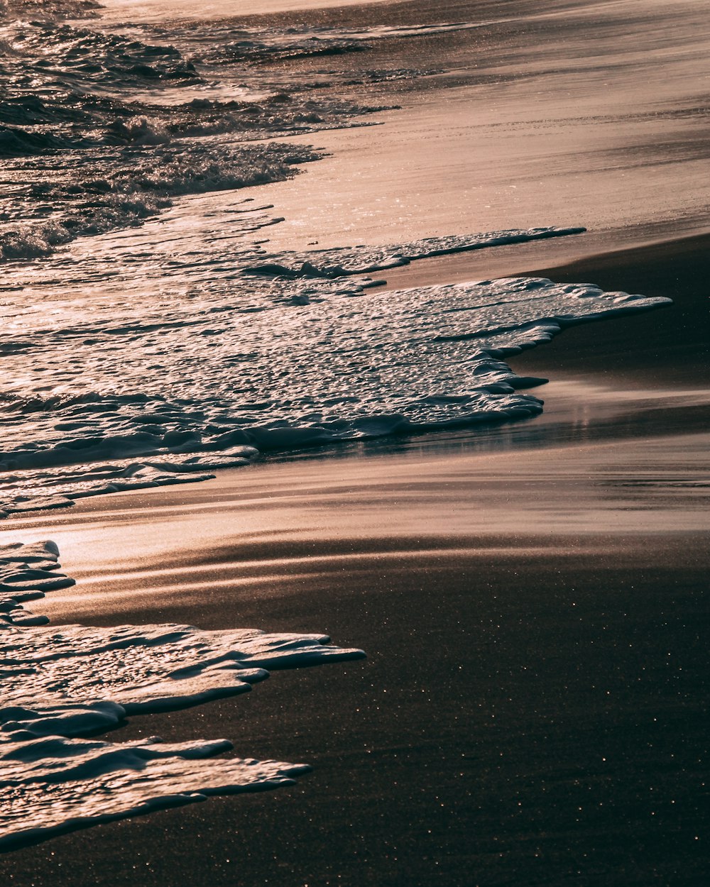 océan calme avec des vagues