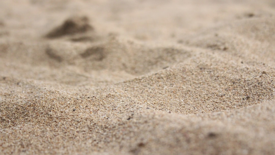 tree mallow soil, coarse sand, macro photography of sand