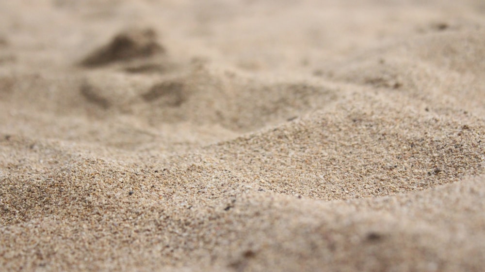 macro photography of sand