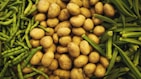 A pile of fresh potatoes is surrounded by green vegetables, including string beans on the left and okra on the right.