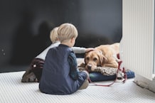 How to Help Your Kids with Grief After the Loss of a Pet