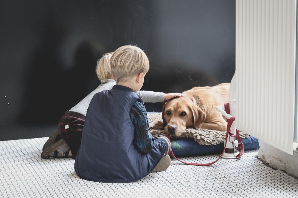 ragazzo che si siede davanti al cane