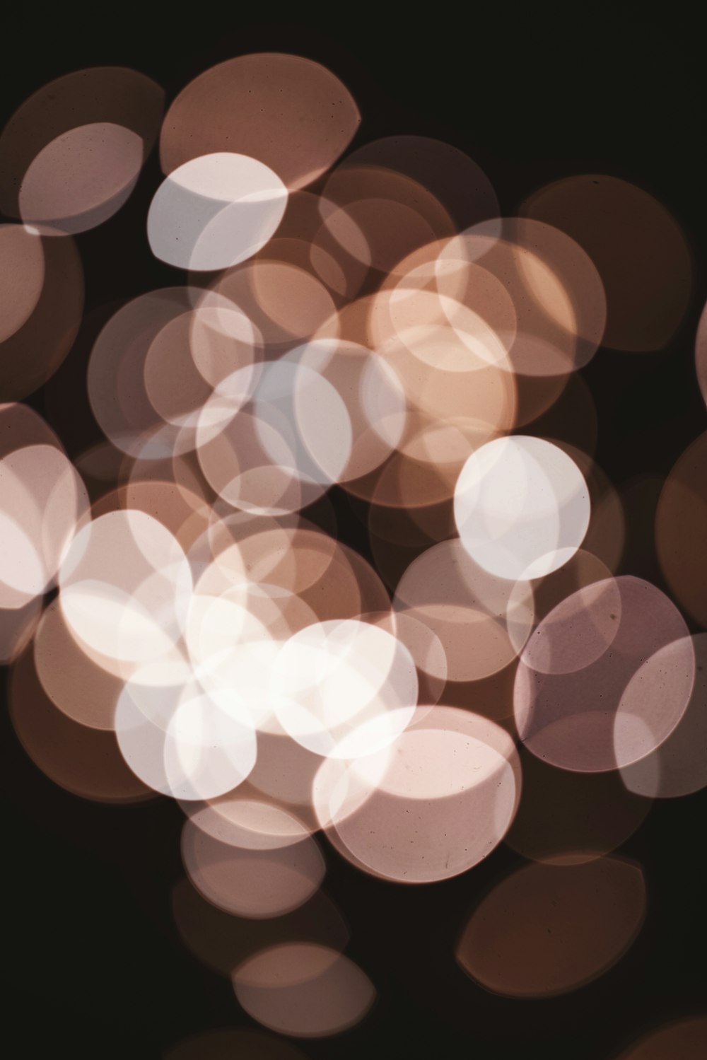 brown bokeh lights