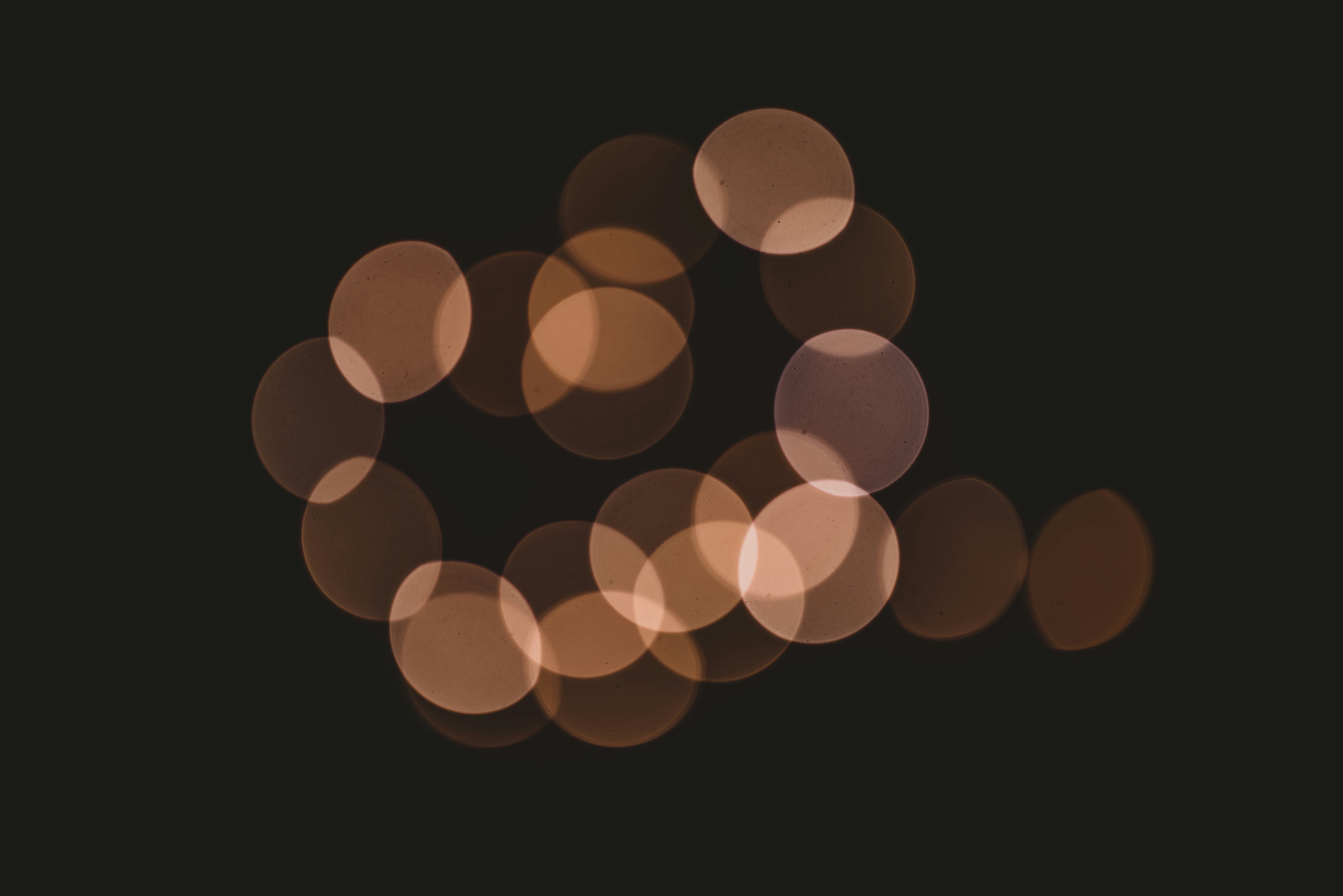 Photo by anniespratt