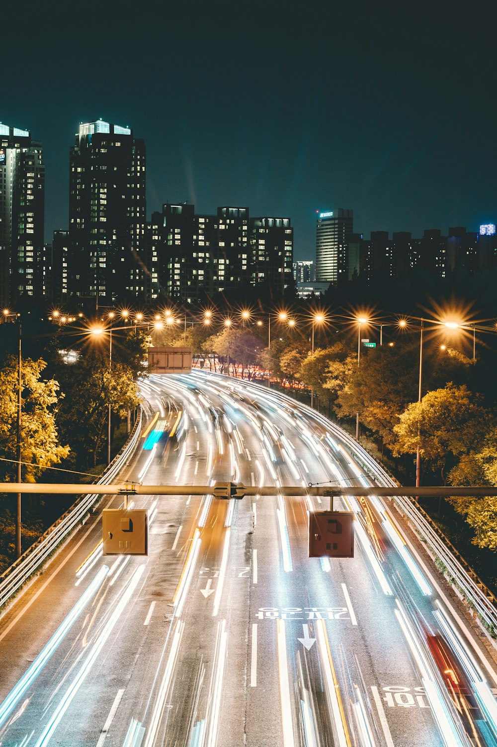 road between lamps during nighttime photo