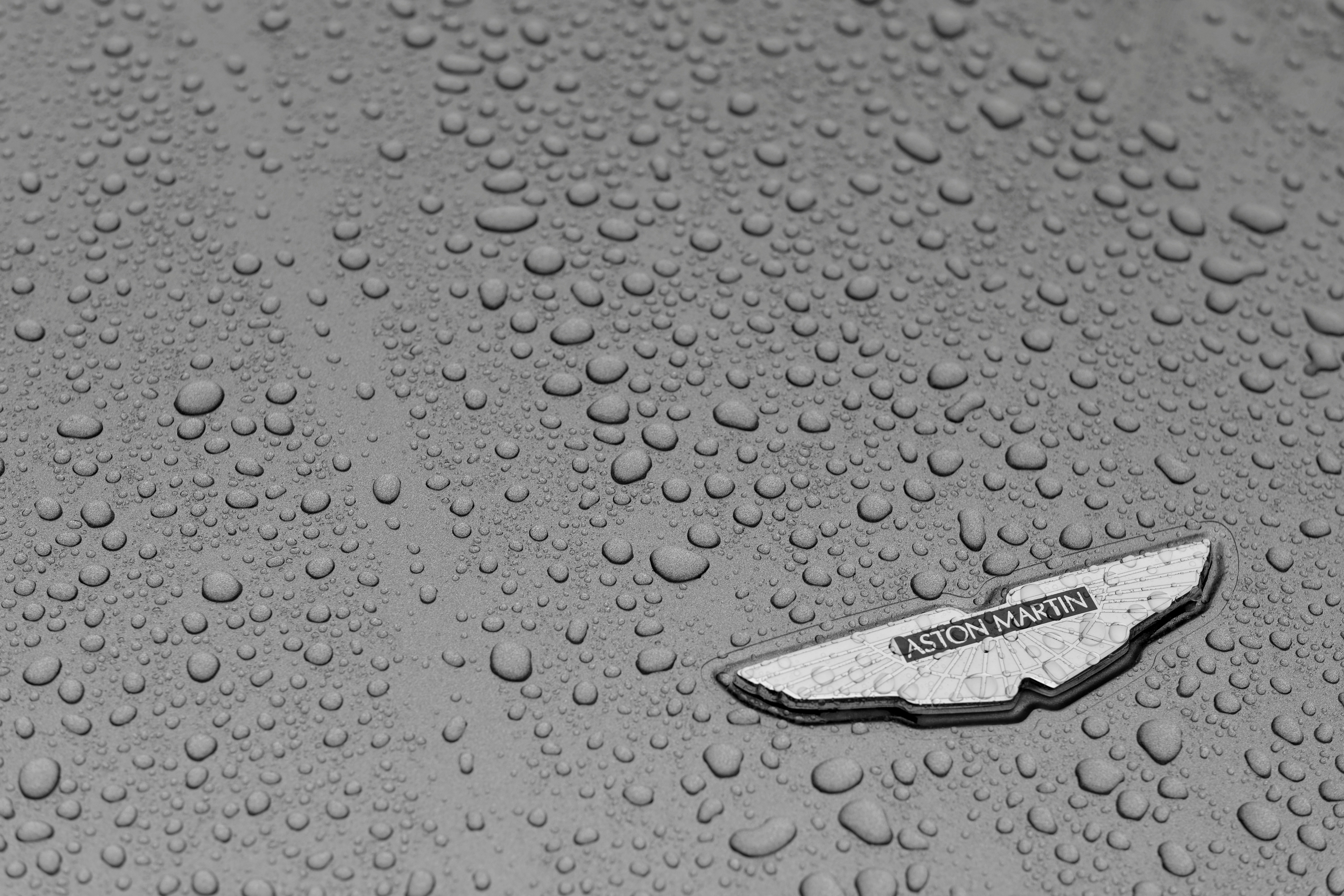 Aston Martin emblem
