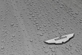 A sparkling car exterior with water droplets beading after an exterior detail.