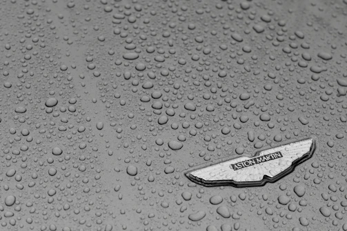 Close-up macro shot of a ceramic coating bead glistening on a polished car surface.