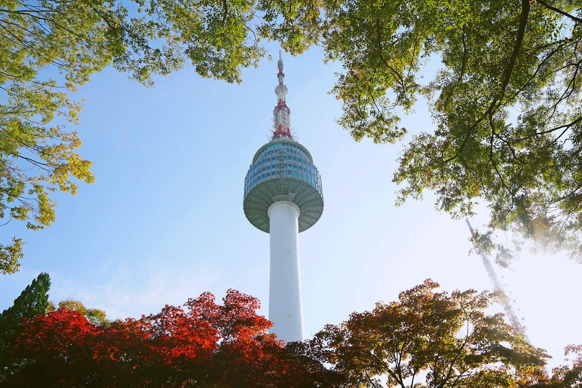 N Seoul Tower on Namsan mountain framed by autumn foliage against a clear blue sky