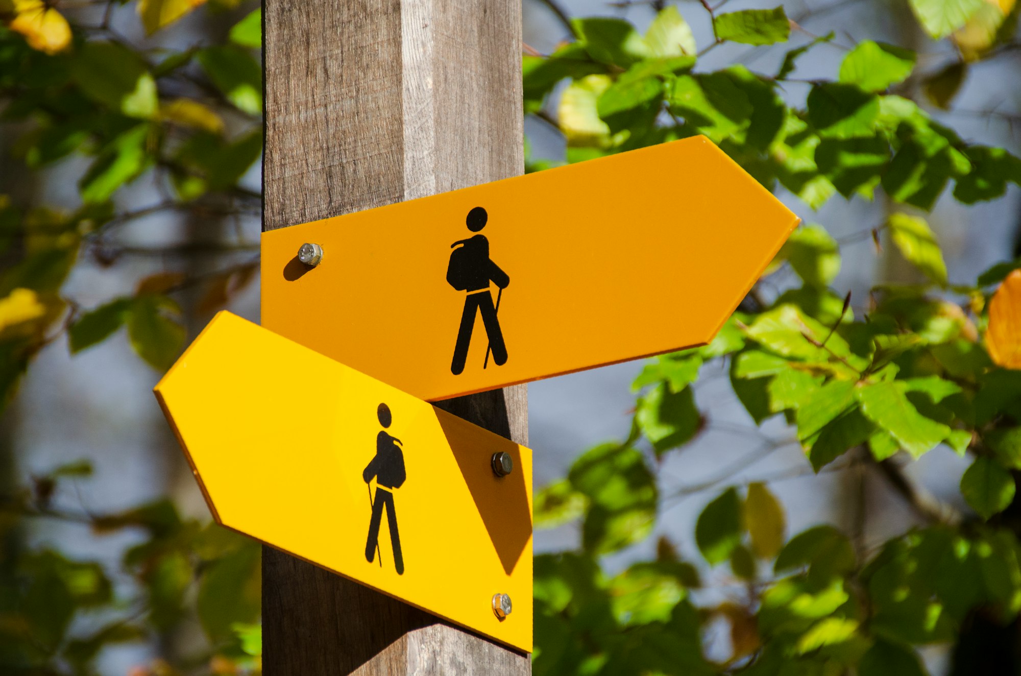 Sign post displaying two paths for backpackers in separate directions.