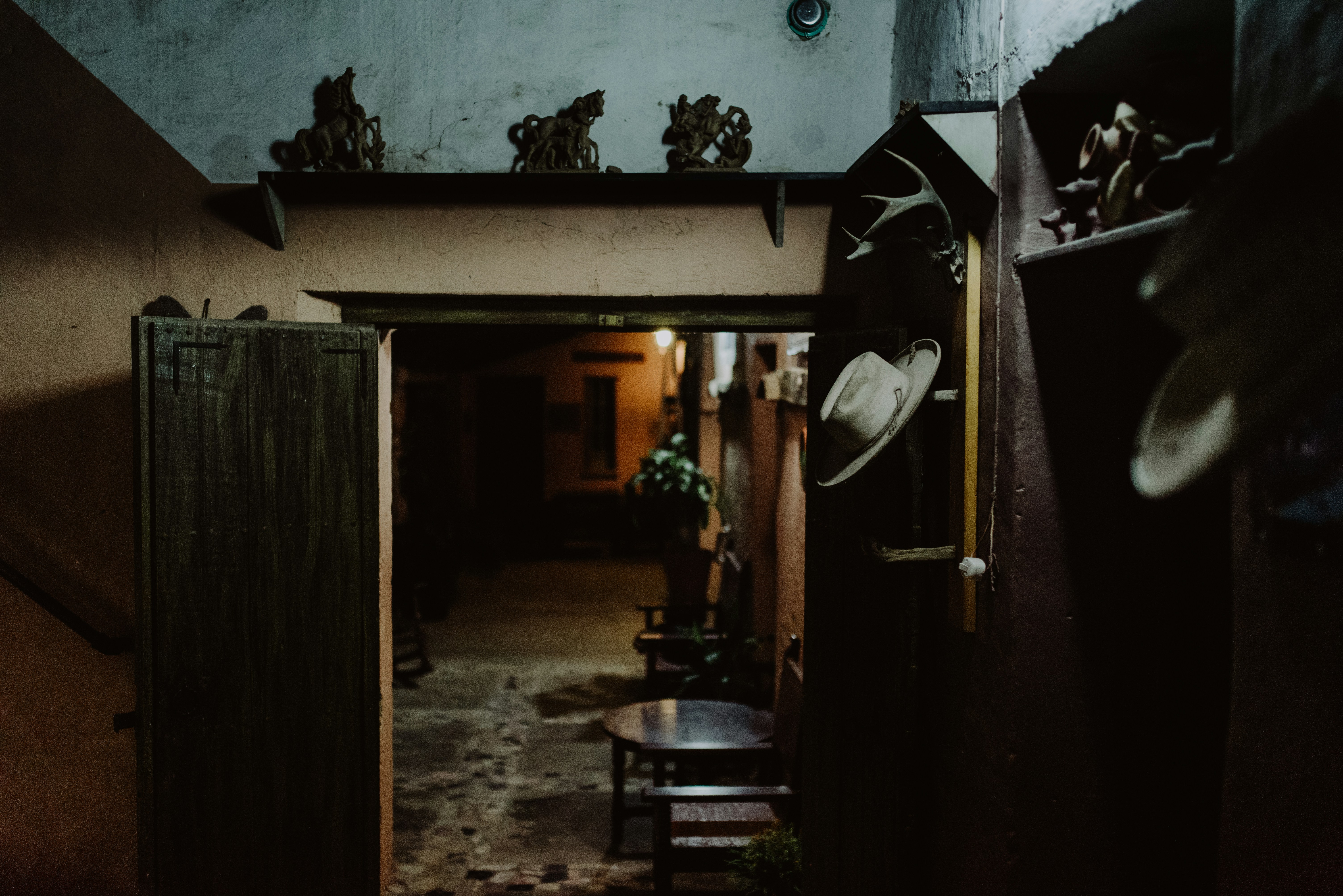 Photo by brunocervera