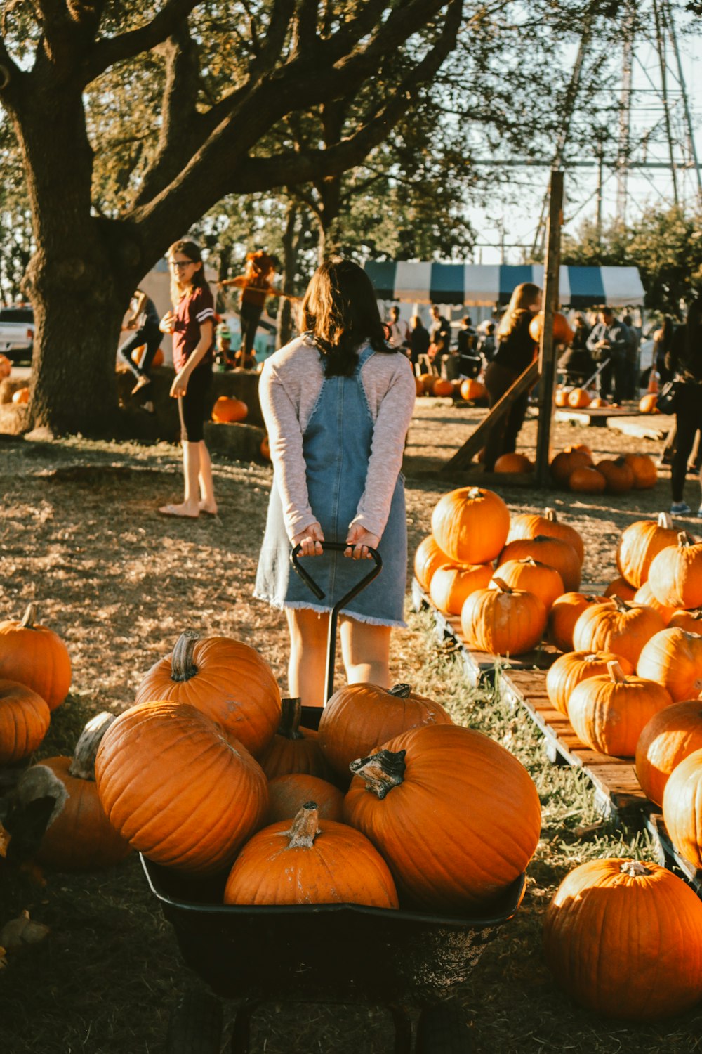 woman pulling wagon with pumpkins