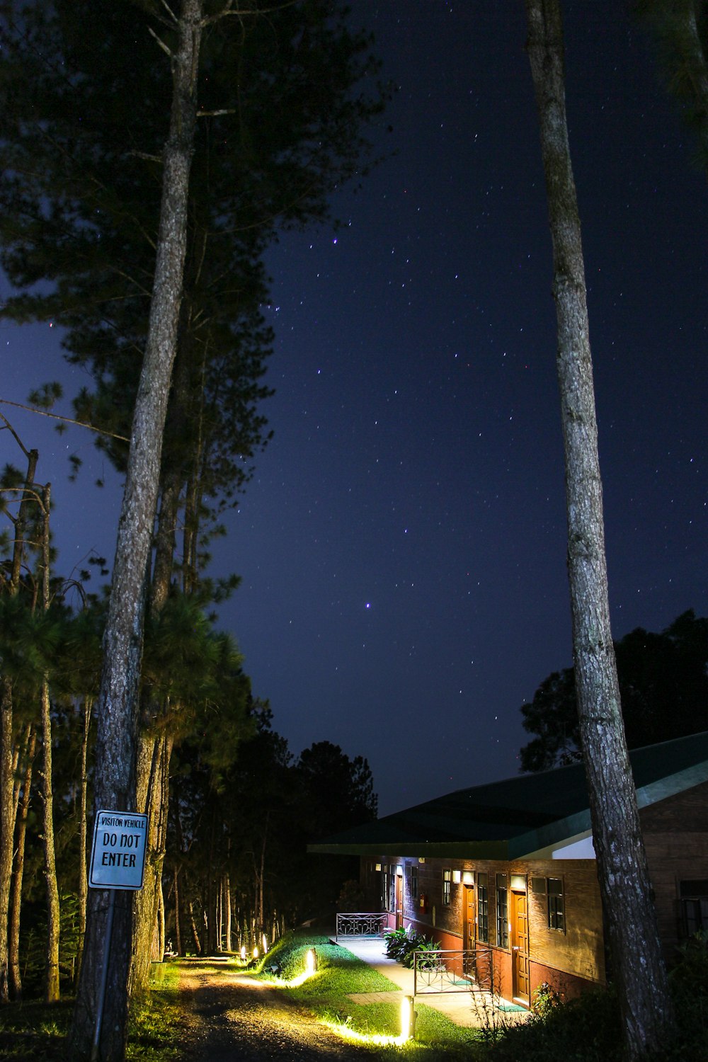 lighted cabins in forest