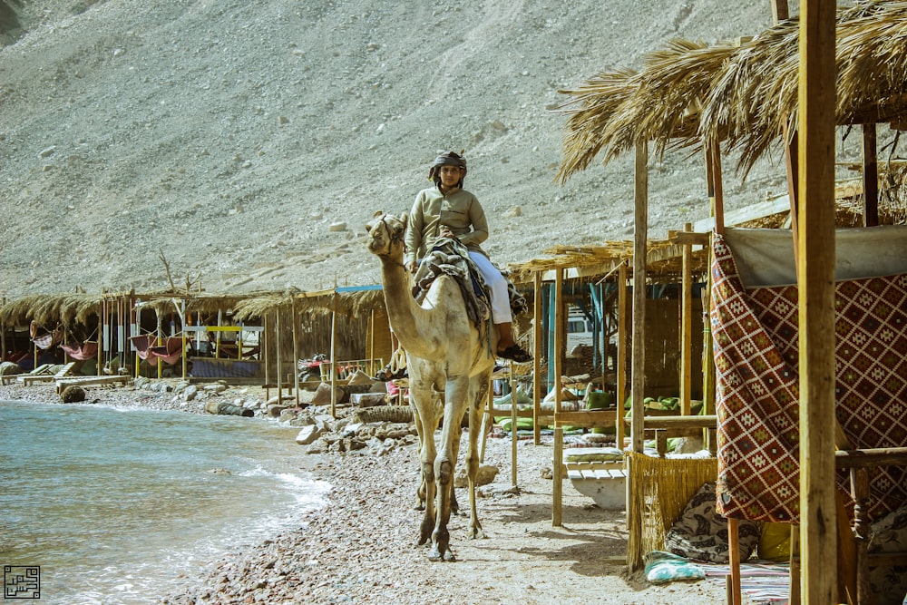 man on camel in beach