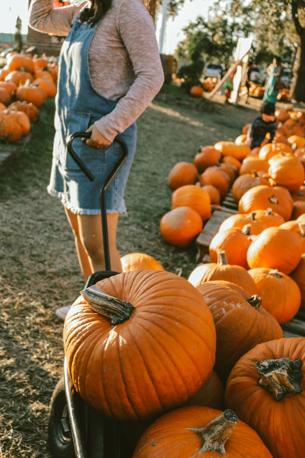 woman standing between pile of pumpkins during daytime