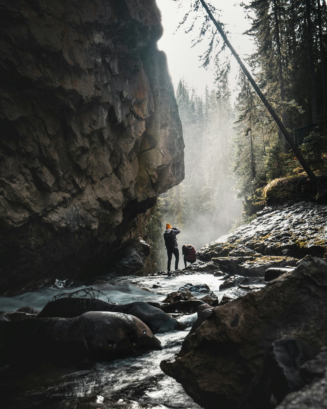 Watercourse photo spot Johnston Canyon Emerald Lake