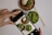 A hand is holding a smartphone, capturing a photo of a meal with several dishes. The dishes include a bowl of salad with greens, a plate of food containing a bun or dumpling, and noodles garnished with fresh herbs. Chopsticks are placed alongside the bowls on the table.