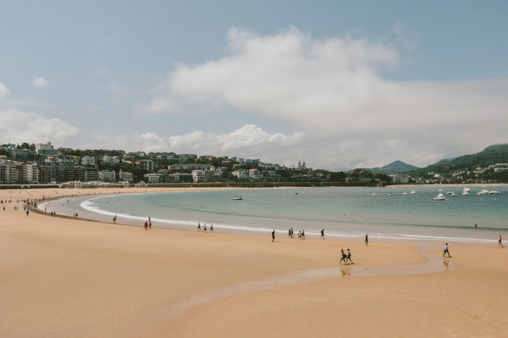 people on seashore during daytime