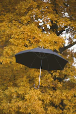 floating black umbrella