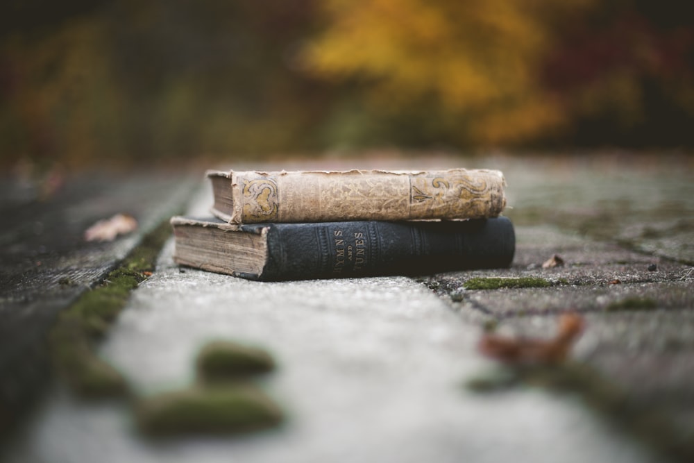 dois livros marrons e pretos no chão de concreto cinza durante o dia