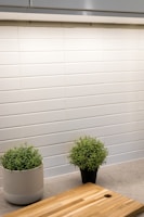 A kitchen countertop styled with colorful ceramic jars and a fresh herb pot.