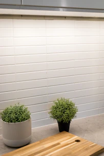 A modern kitchen countertop featuring a sleek hydroponic garden with ripe herbs ready to harvest.