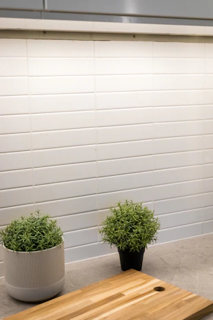 Close-up of sparkling clean kitchen countertop with fresh green plants in the background.