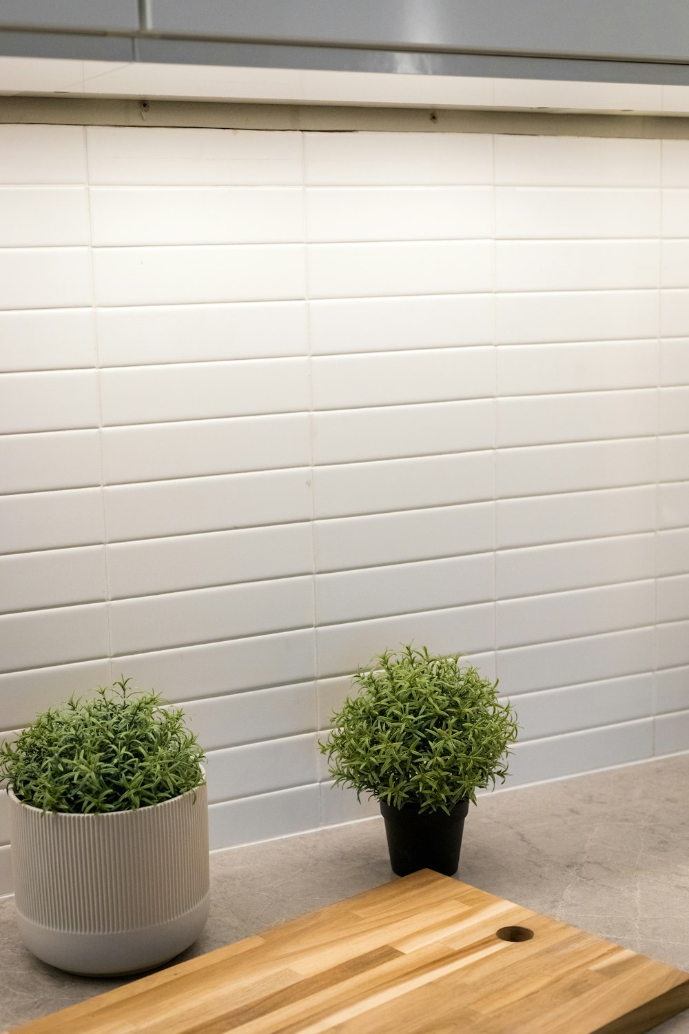 zwei grünblättrige Pflanzen auf Keramiktöpfen in der Nähe der weißen Wand