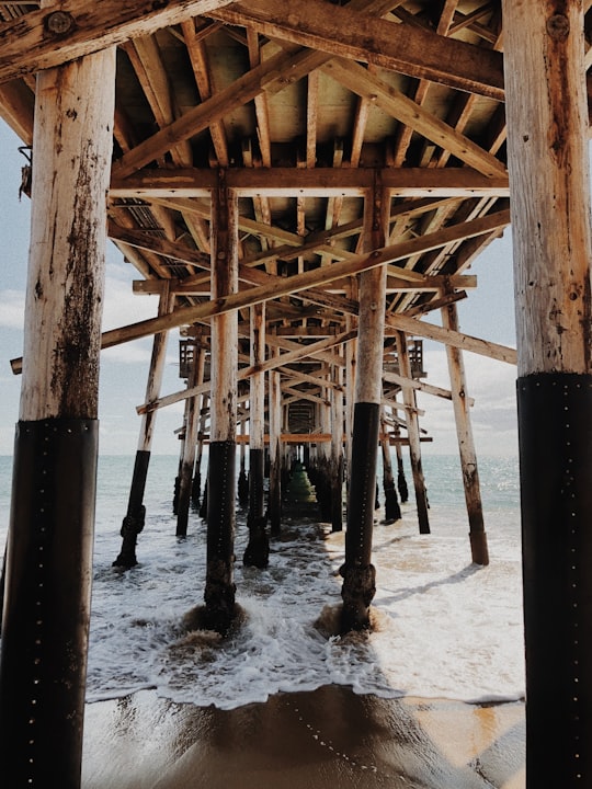 brown wooden dock base in body of water photo during daytime in Balboa Pier United States