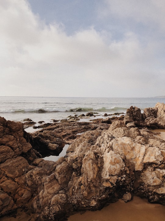 brown rocks beside beach in Newport Beach United States