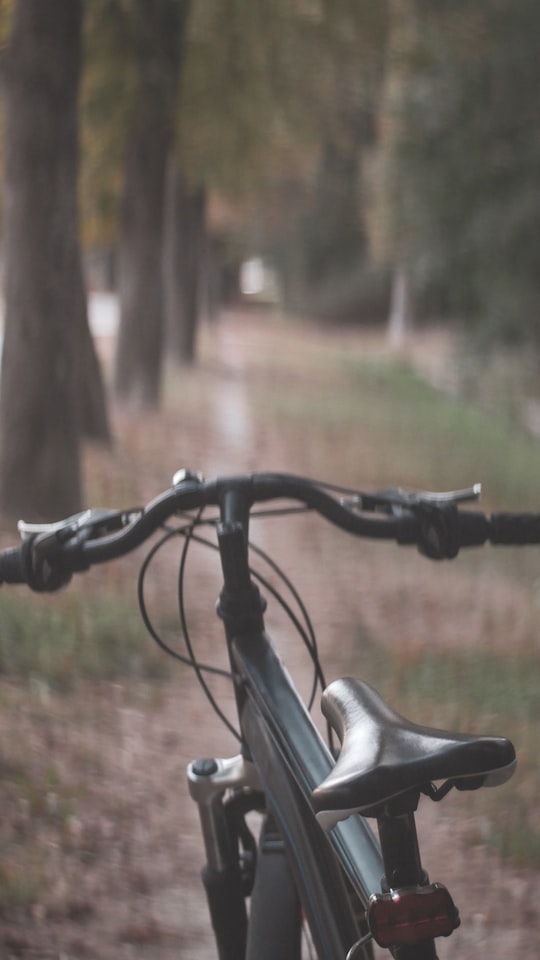 selective focus photography of hardtail bike in Château de Fontainebleau France