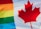 A composite flag featuring the rainbow stripes of the LGBTQ+ pride flag on the left. On the right, a large red maple leaf on a white background is prominently displayed, representing Canada.