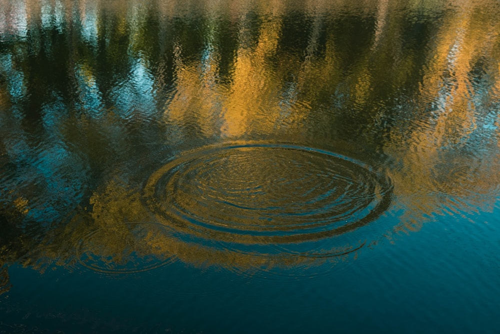 Un grande specchio d'acqua con alberi sullo sfondo