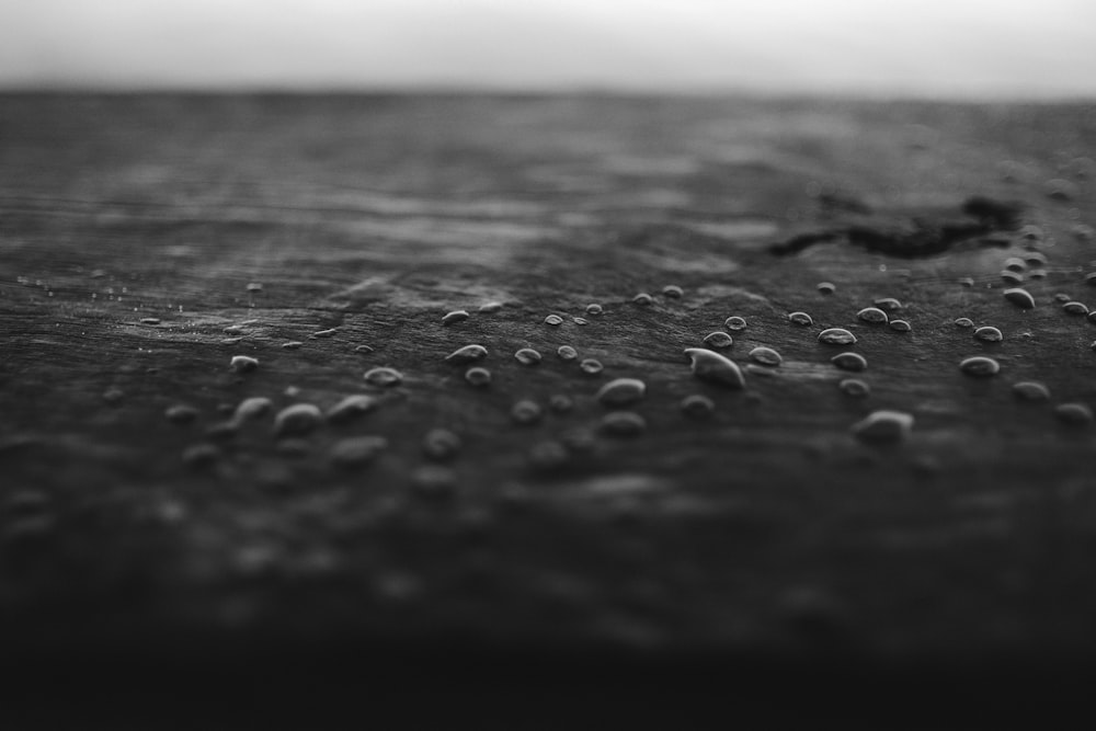 closeup and grayscale photo of water droplets