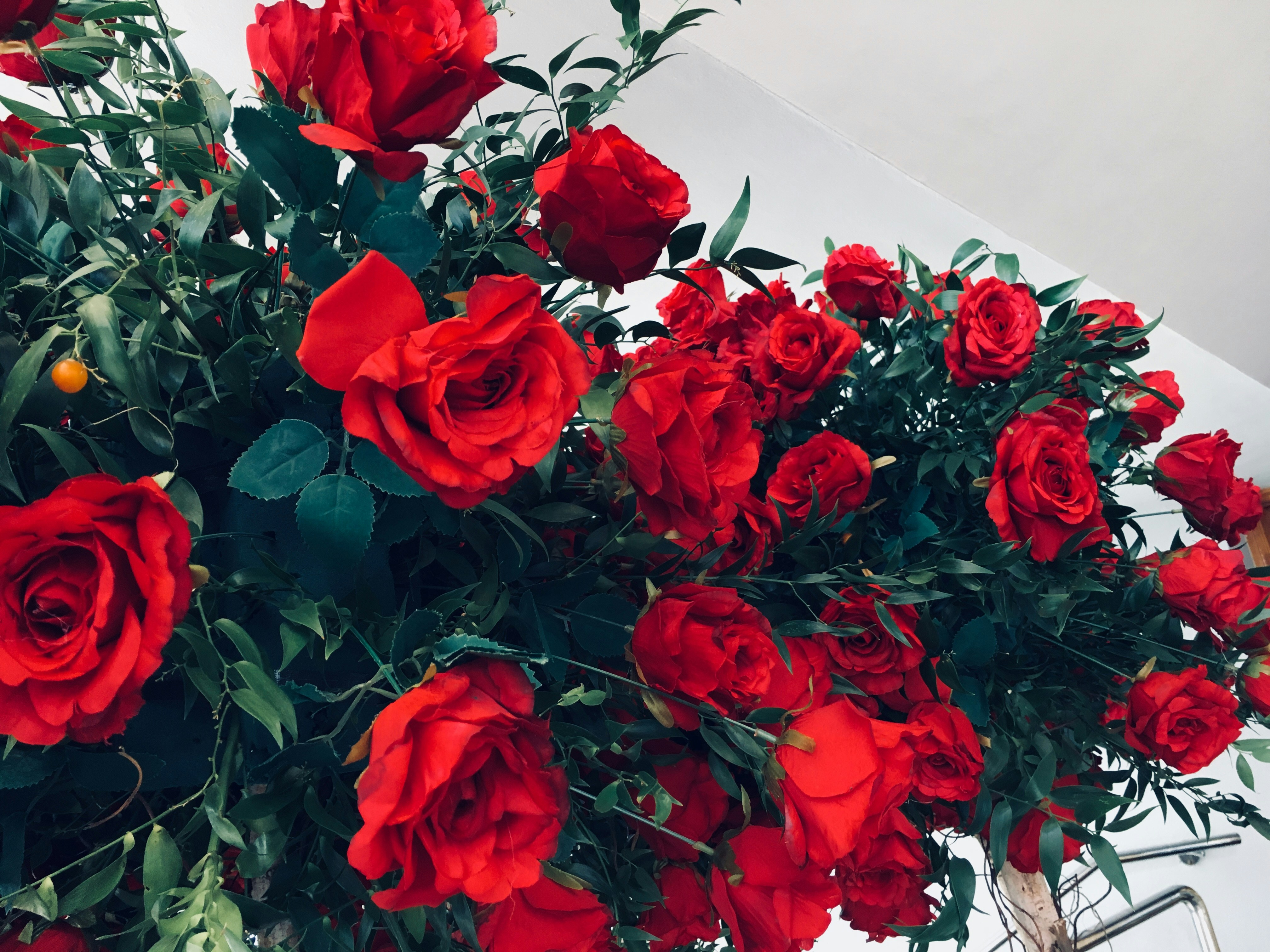 Elegant Rose Bouquet