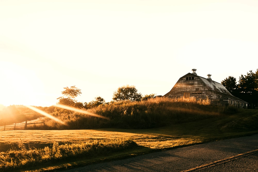 green field durig sunrise