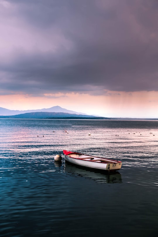 white and brown rowboat on body of water in Rolle Switzerland