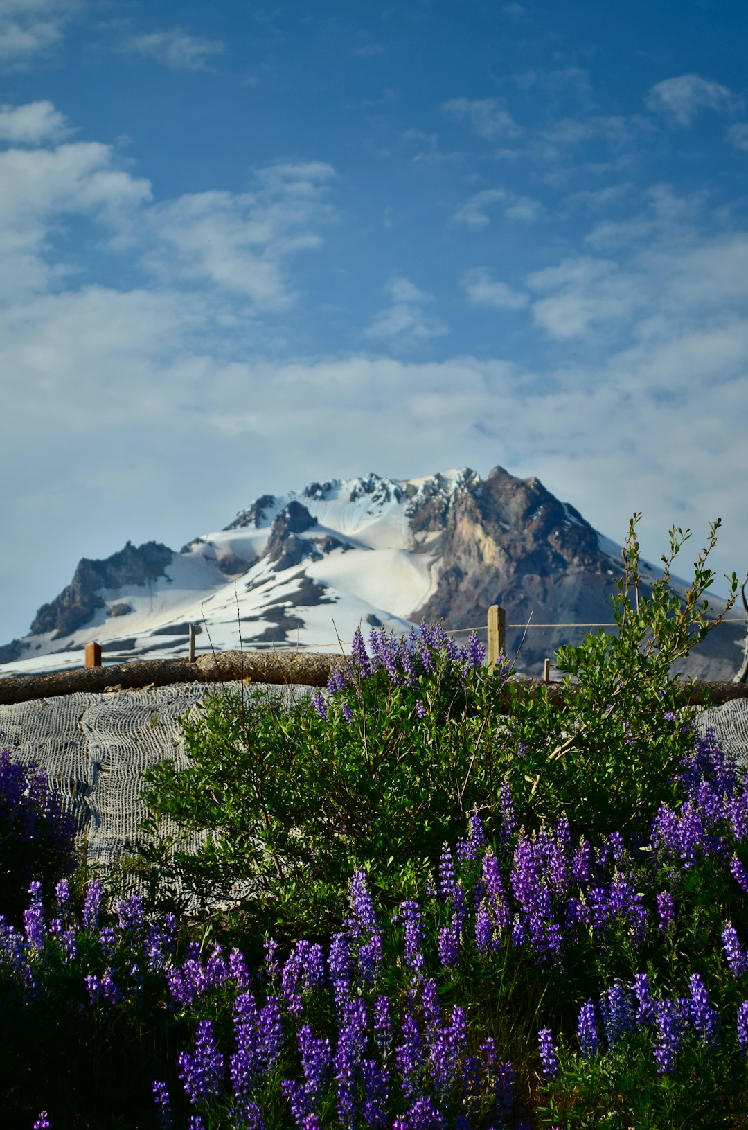 Mountain range photo spot Mount Hood Silver Star Mountain