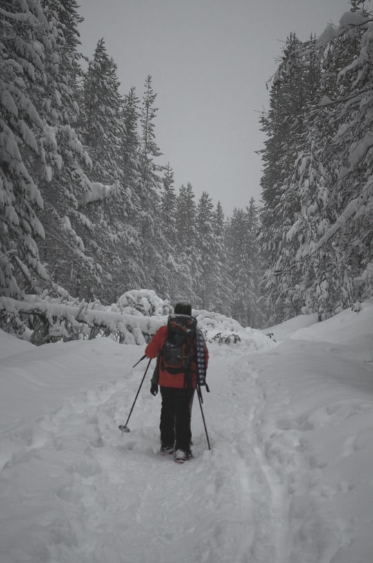 person walking in forest covered with snow in Trillium Lake United States