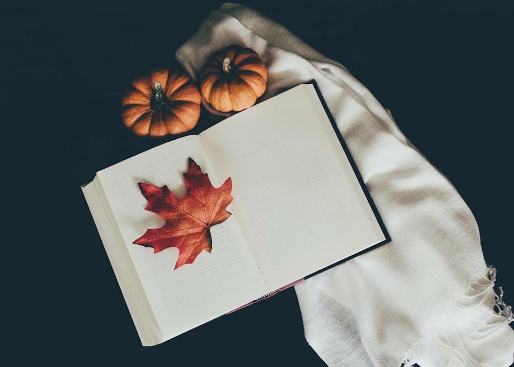 brown dried leaf on book page