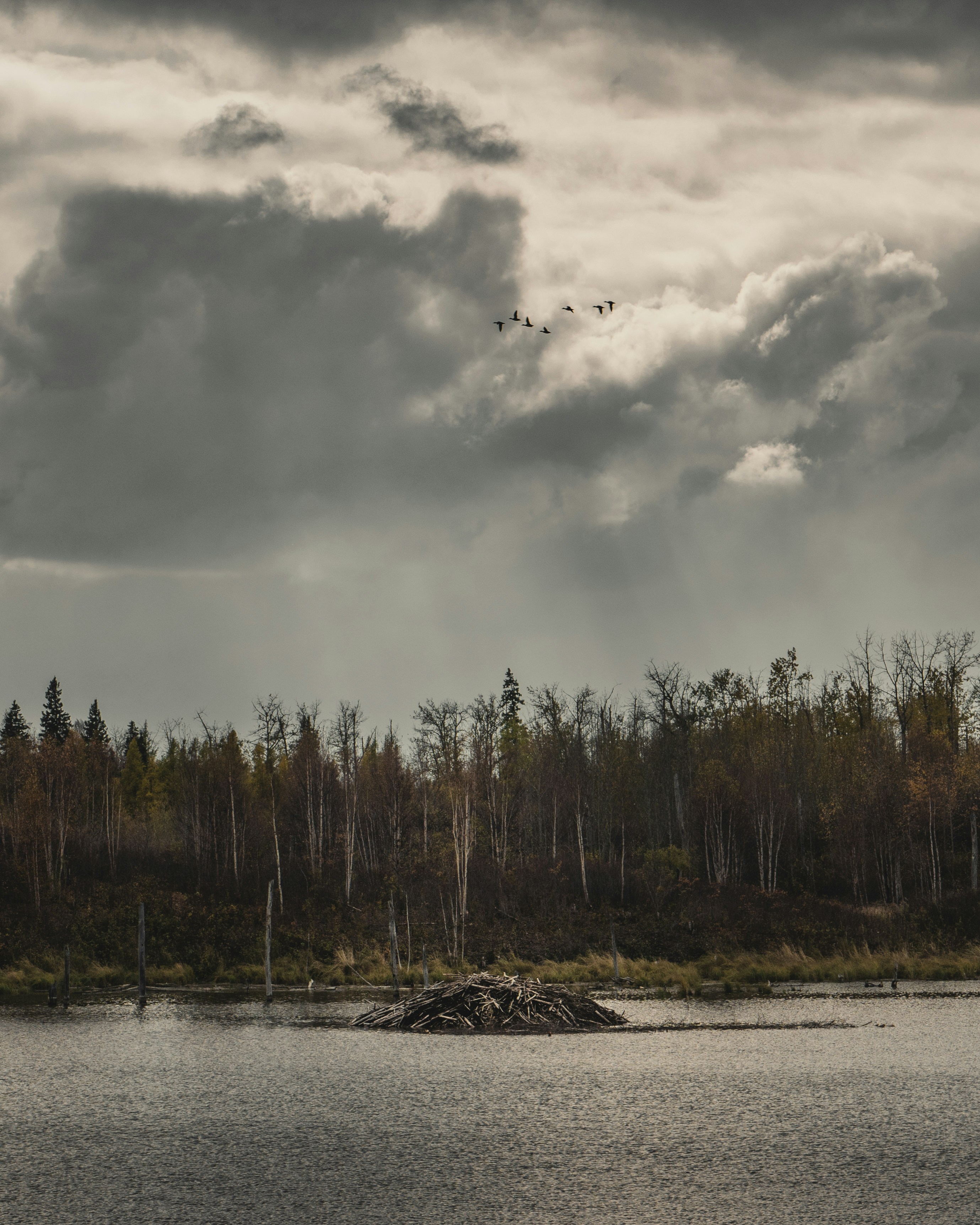 Джонни депп мрачные тени. Угрюмые тени. Styles p - ghost at the end of the tunnel (2010) обложка. Угрюмые тени. Угрюмые тени.