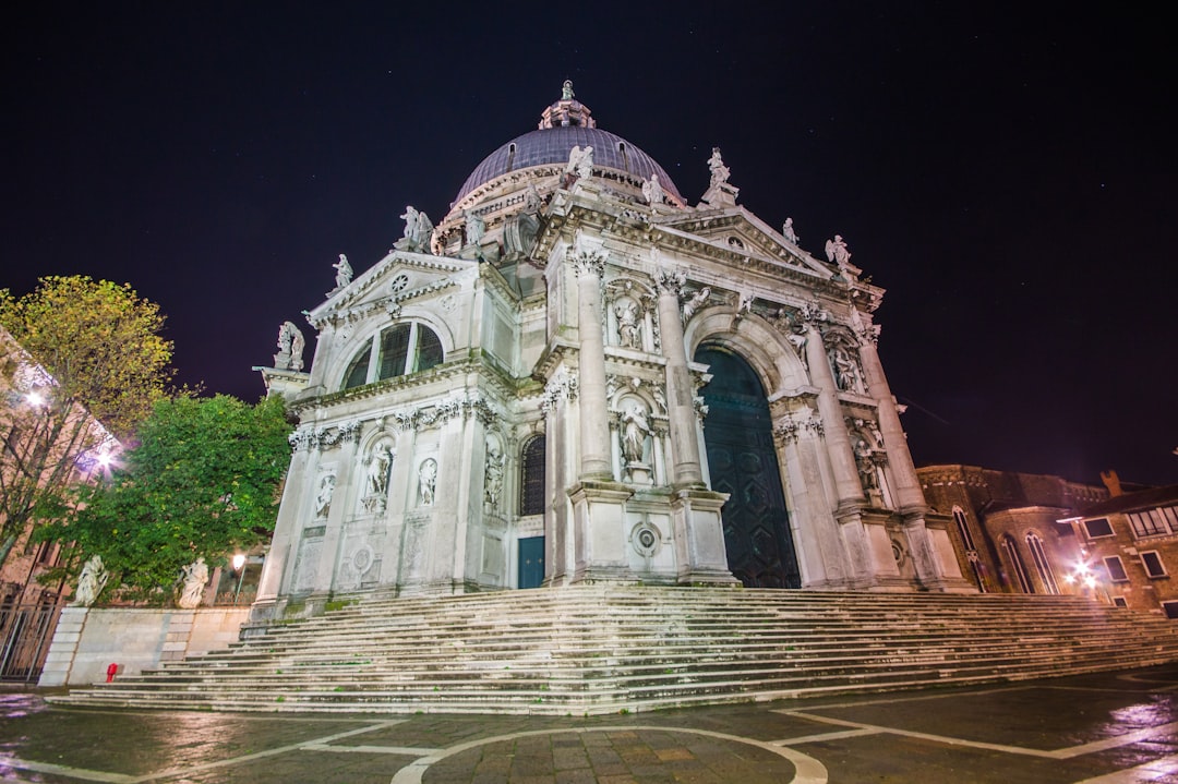 Landmark photo spot Basilica di Santa Maria della Salute St Mark's Campanile